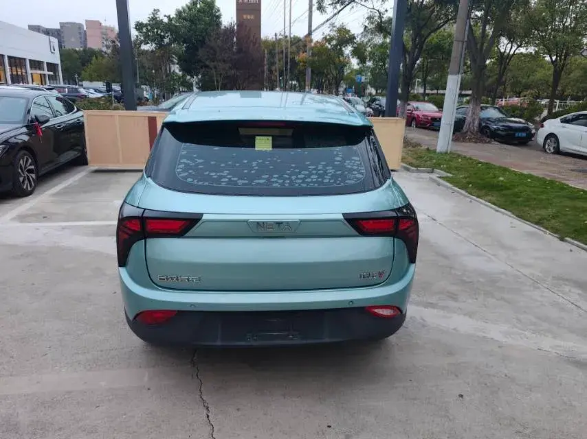 2021 NETA V thumbnail 4