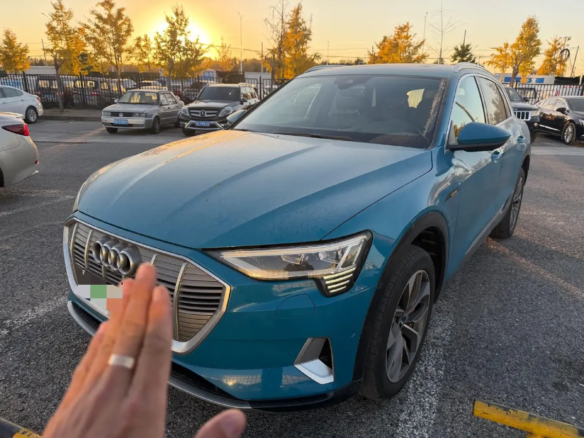 2019 Audi e-tron 2AT BEV 95KWH