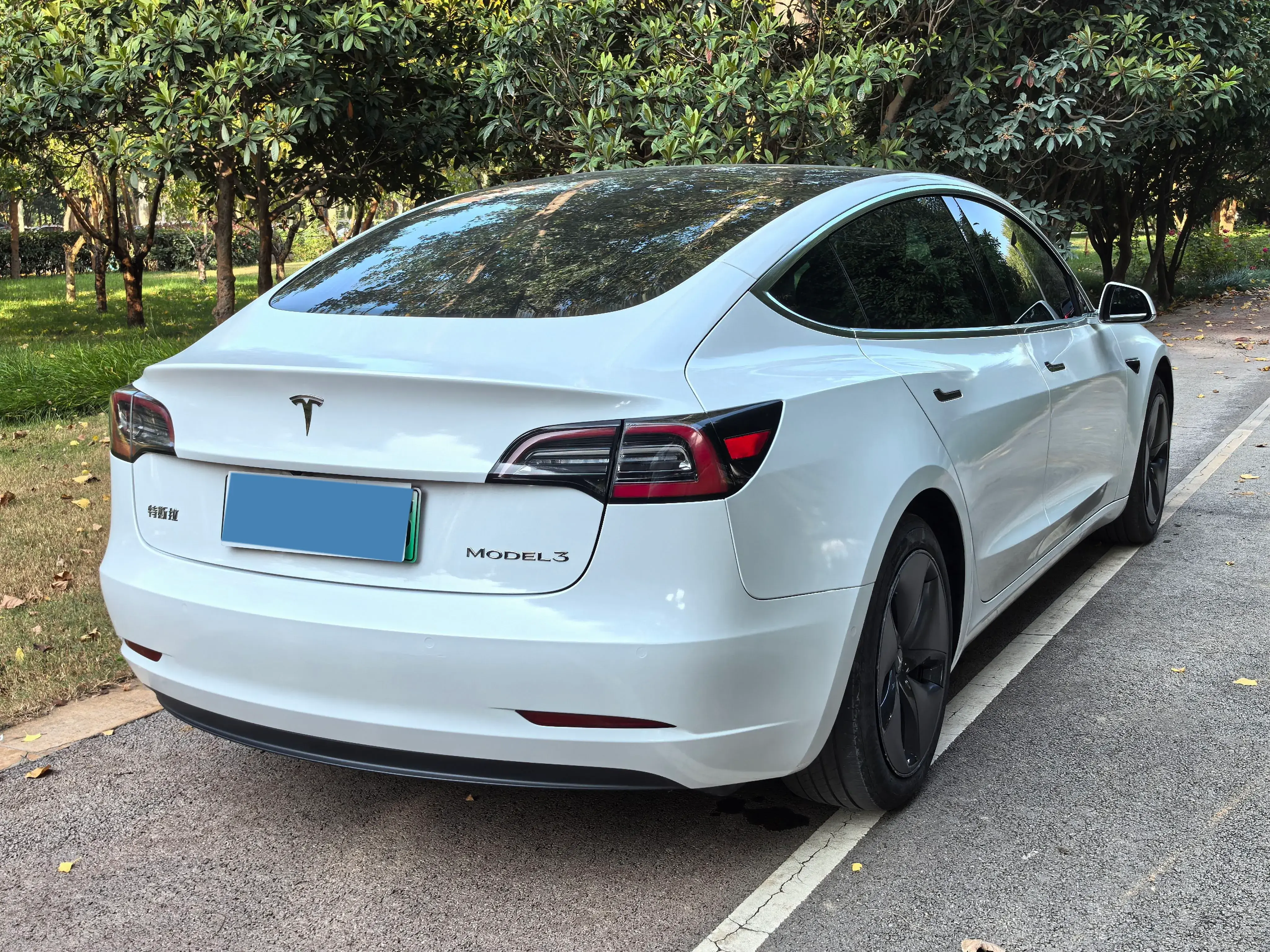 2019 TESLA MODEL thumbnail 4