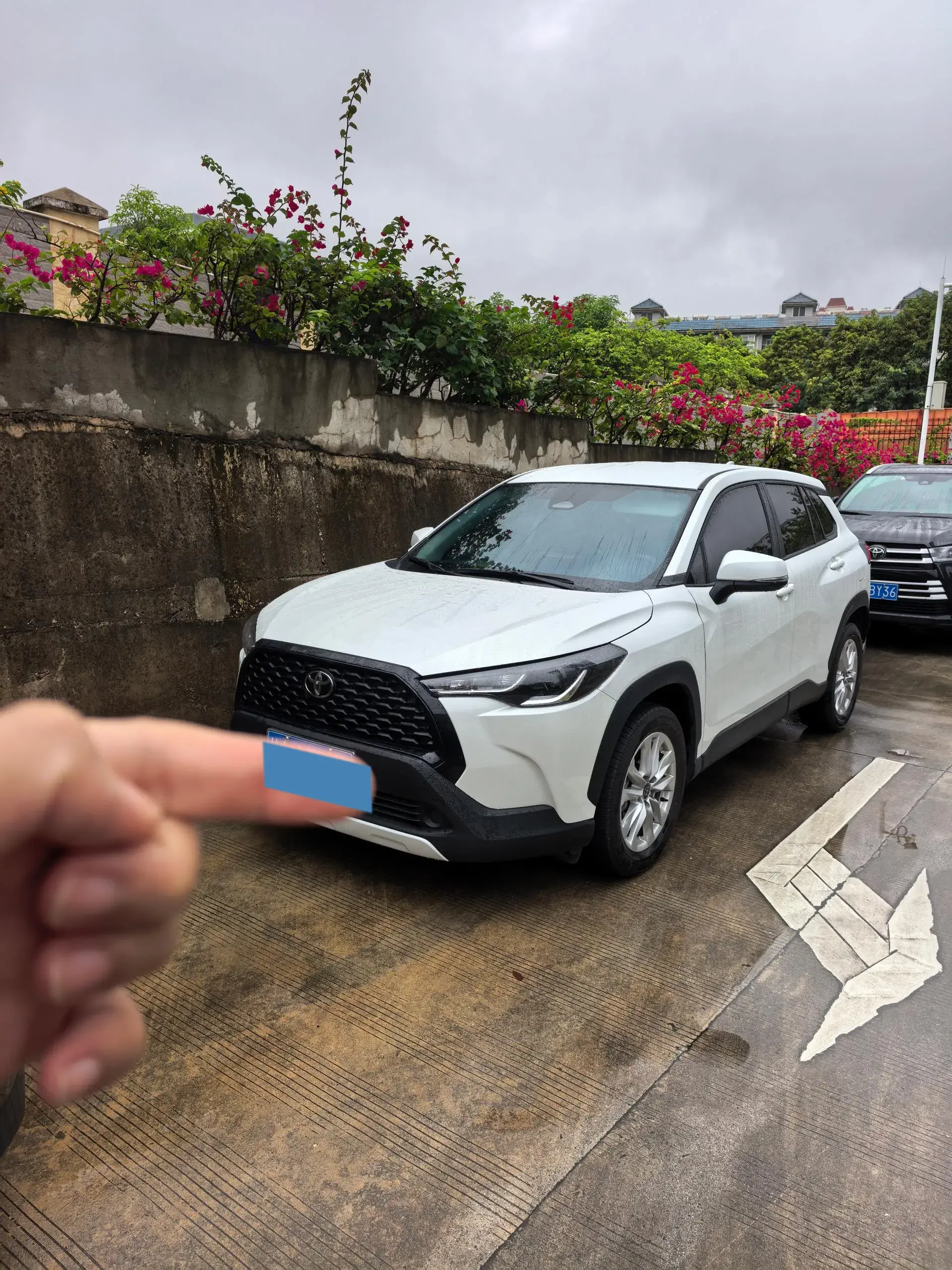 2024 TOYOTA COROLLA view 1