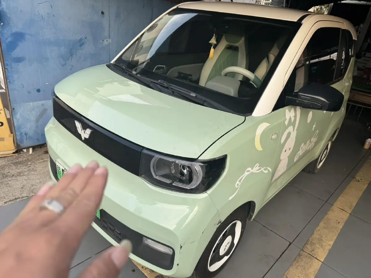 2021 WuLing HongGuang MINI EV BEV 13.8KWH