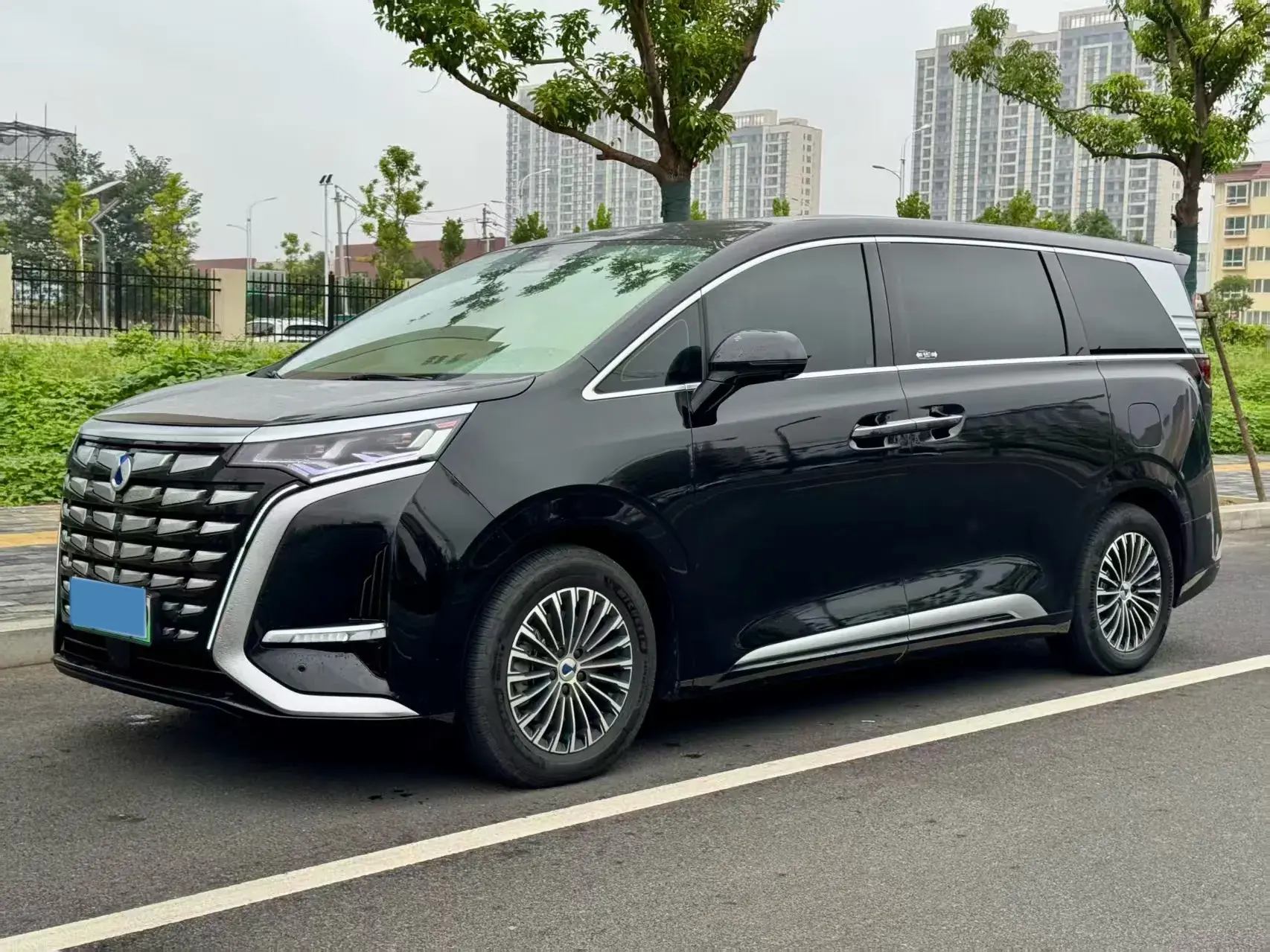 2022 DENZA D9 view 1