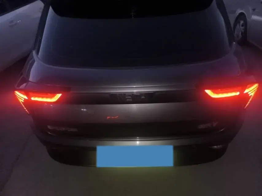 2021 NETA V thumbnail 4