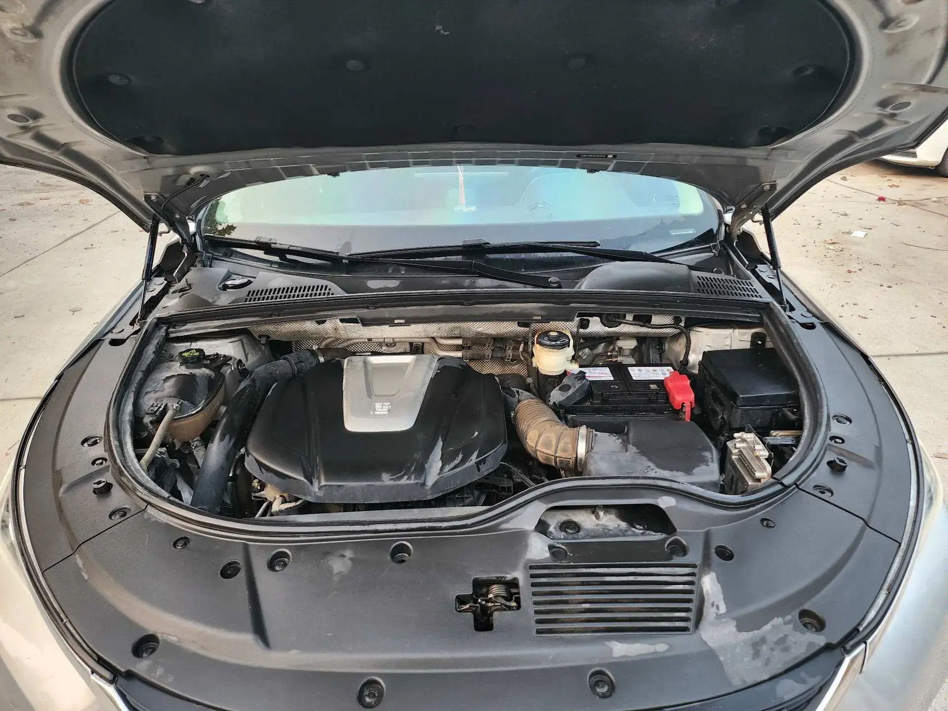 2019 BYD TANG thumbnail 4