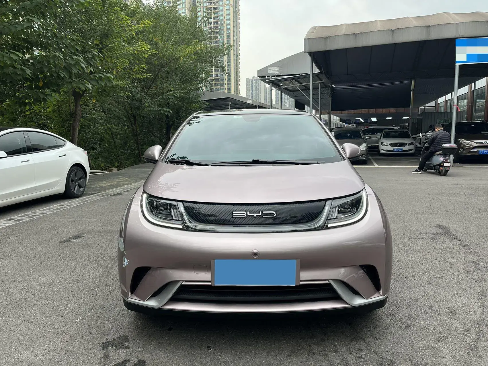 2021 BYD DOLPHIN thumbnail 2