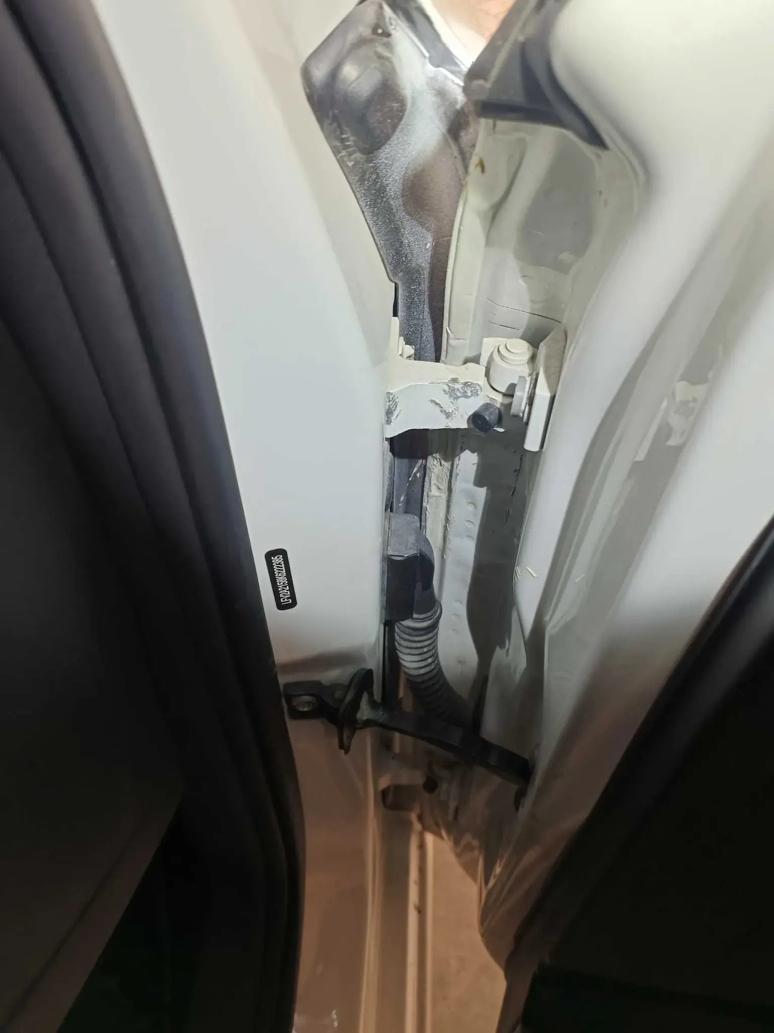 2019 VOLKSWAGEN BORA thumbnail 4