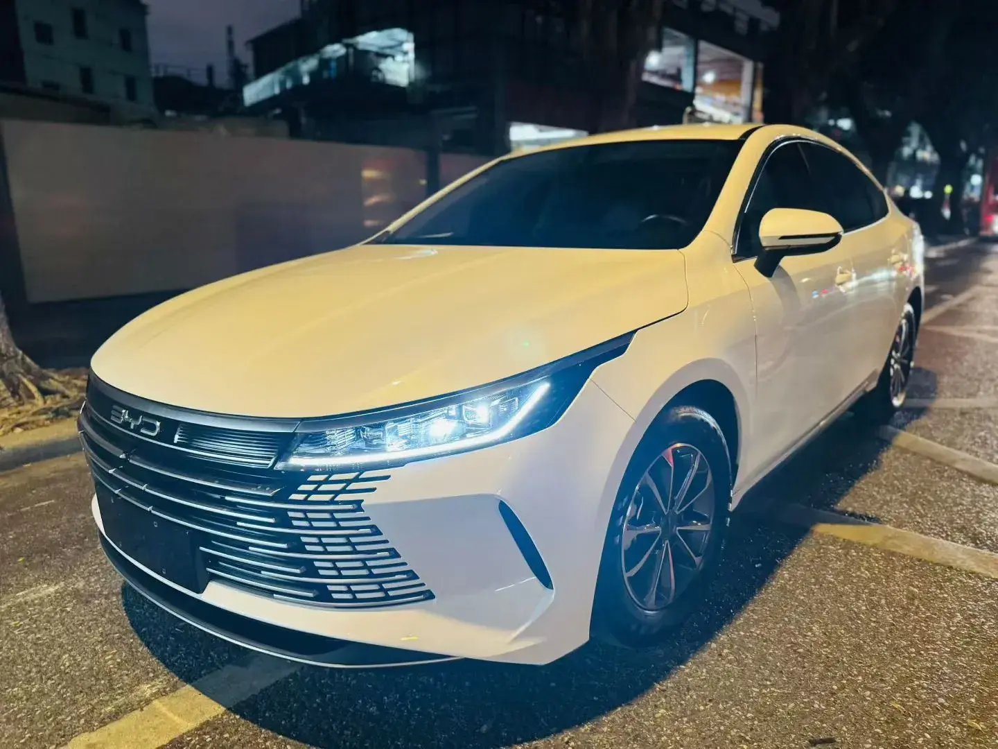 2024 BYD DESTROYER view 1