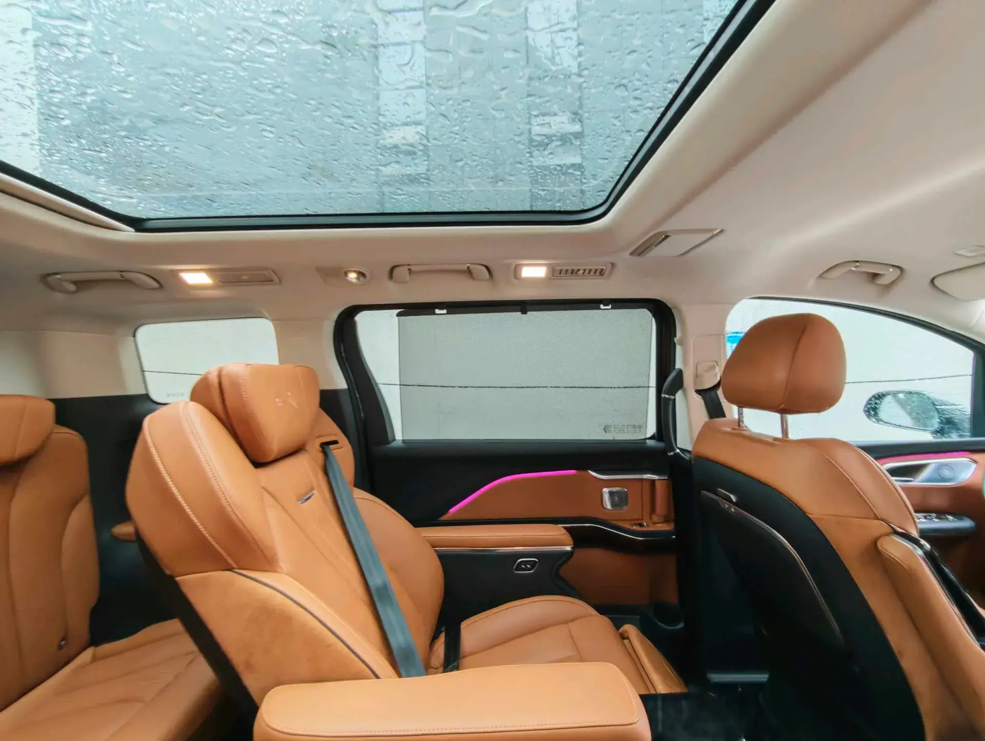 2023 HONGQI HQ9 thumbnail 3