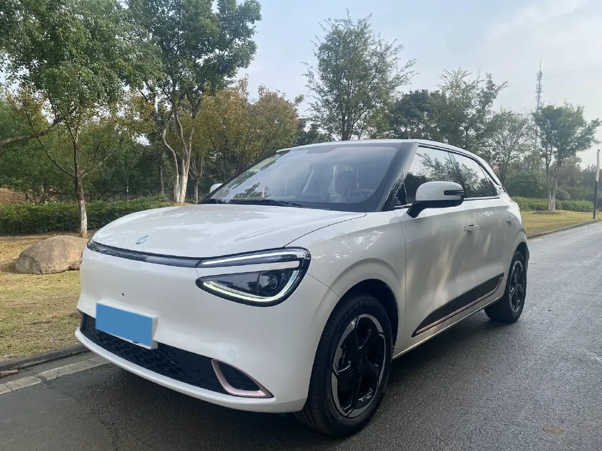 2024 DongFeng Nammi 01 BEV 42.3KWH
