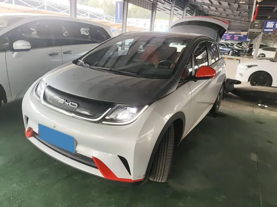 2021 BYD Dolphin BEV 44.9KWH