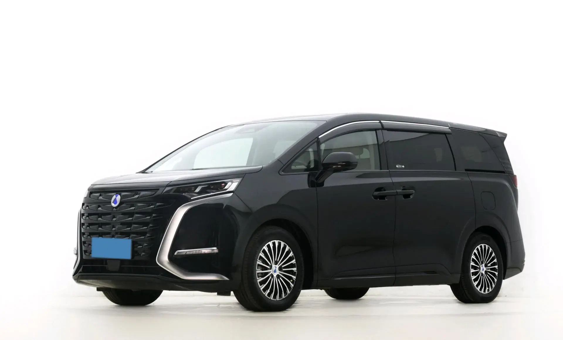 2022 DENZA D9 view 1