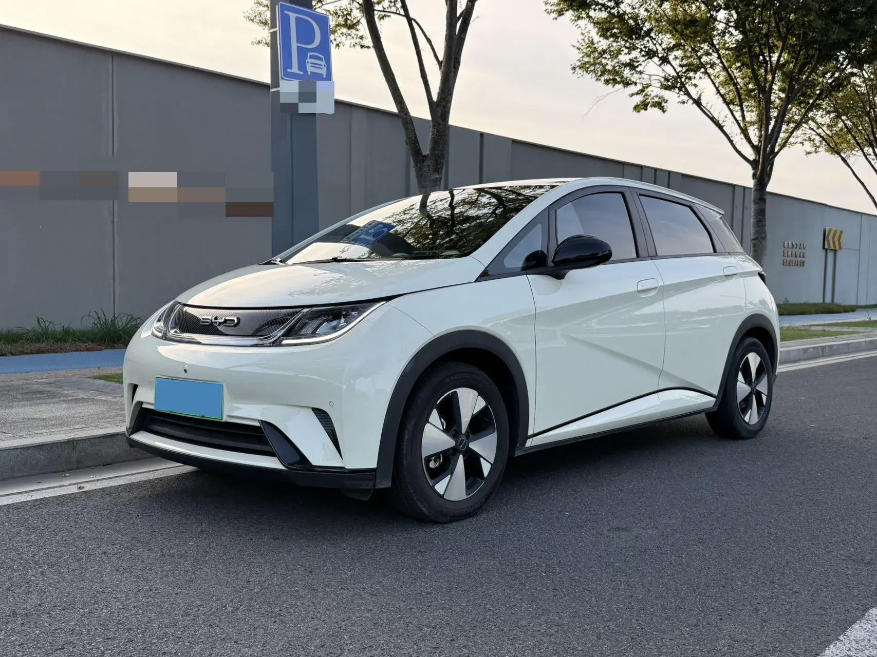 2023 BYD DOLPHIN view 1