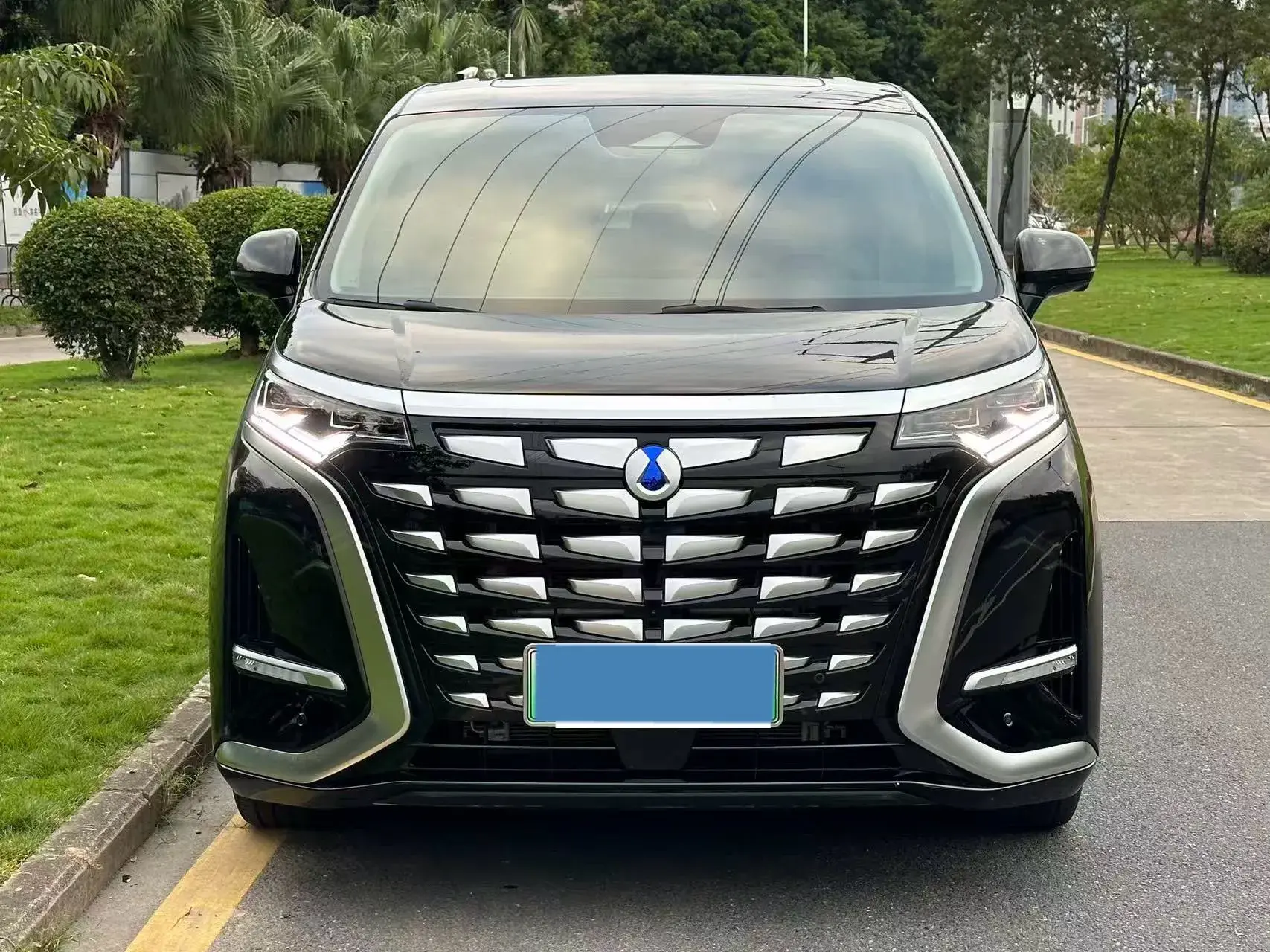 2024 DENZA D9 thumbnail 2