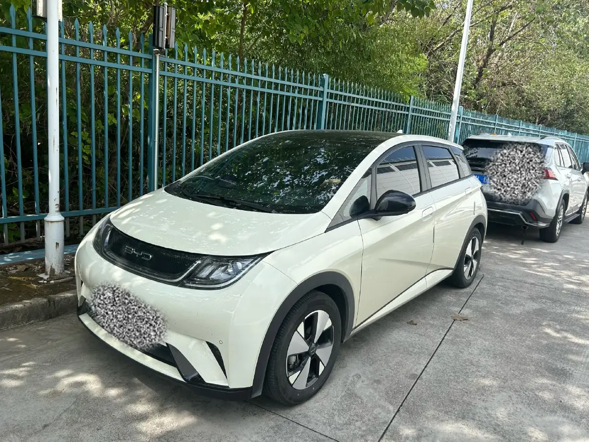 2023 BYD Dolphin BEV 44.928KWH