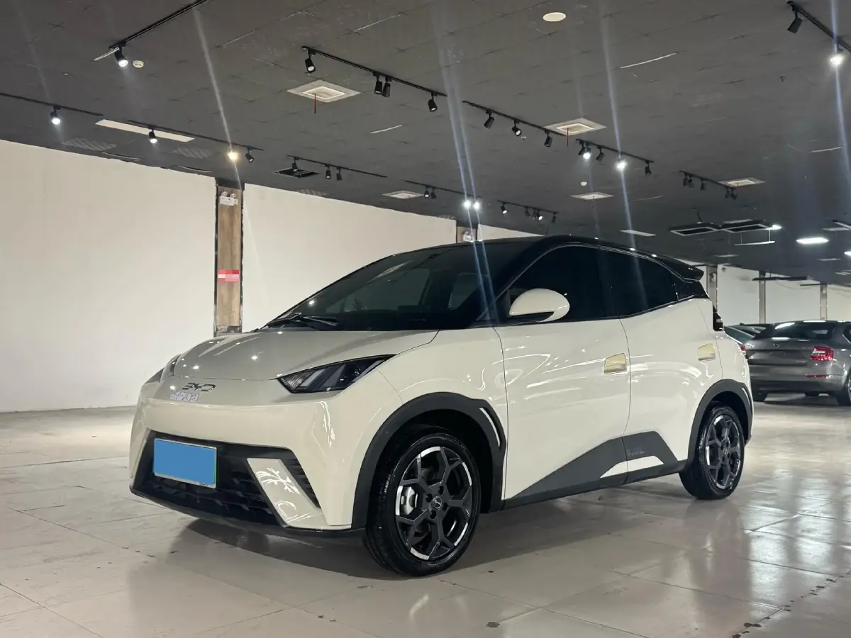 2024 BYD Seagull BEV 30.08KWH
