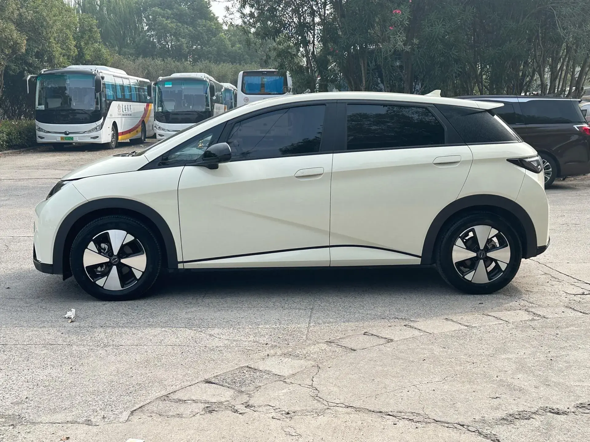 2023 BYD DOLPHIN thumbnail 3