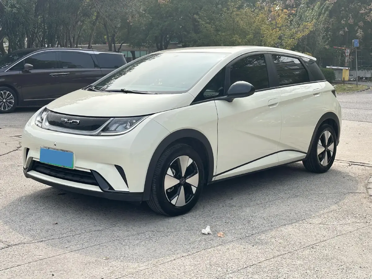 2023 BYD Dolphin BEV 44.928KWH