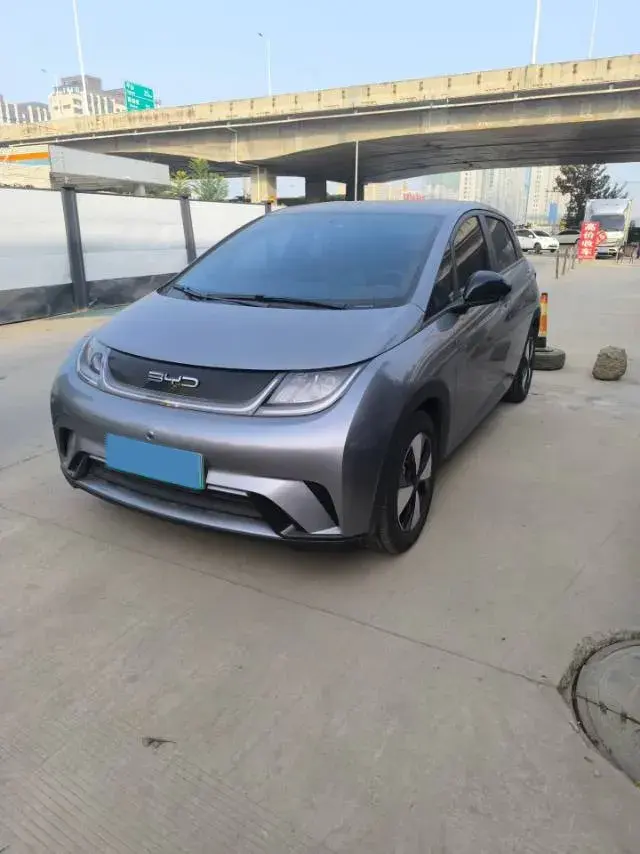 2023 BYD DOLPHIN view 1