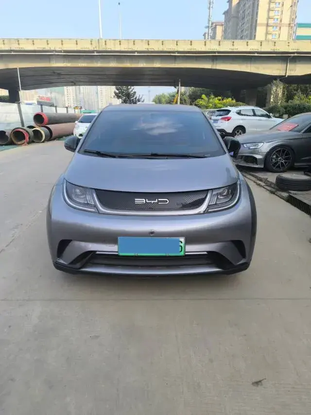 2023 BYD DOLPHIN thumbnail 2