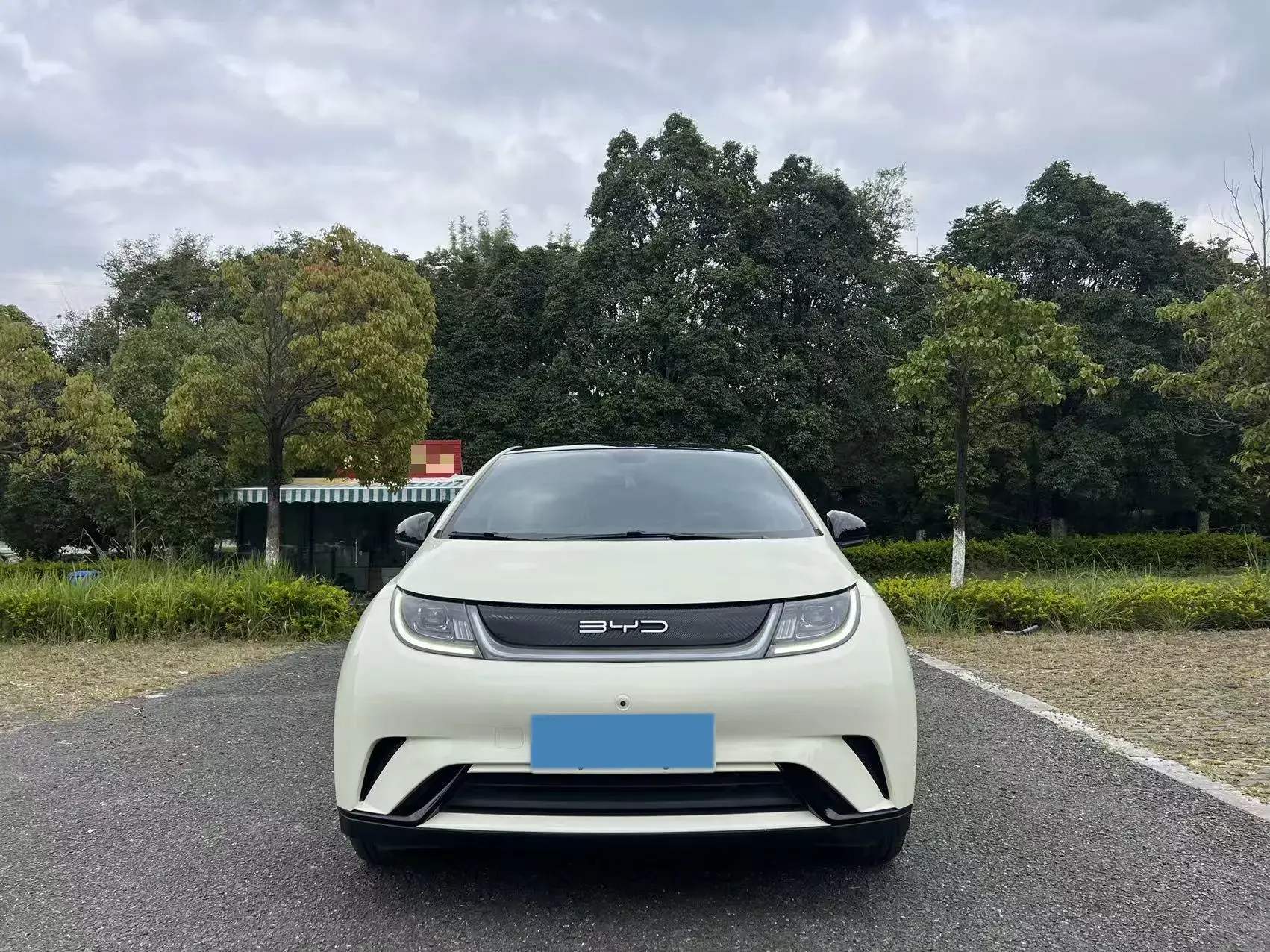 2021 BYD DOLPHIN thumbnail 2