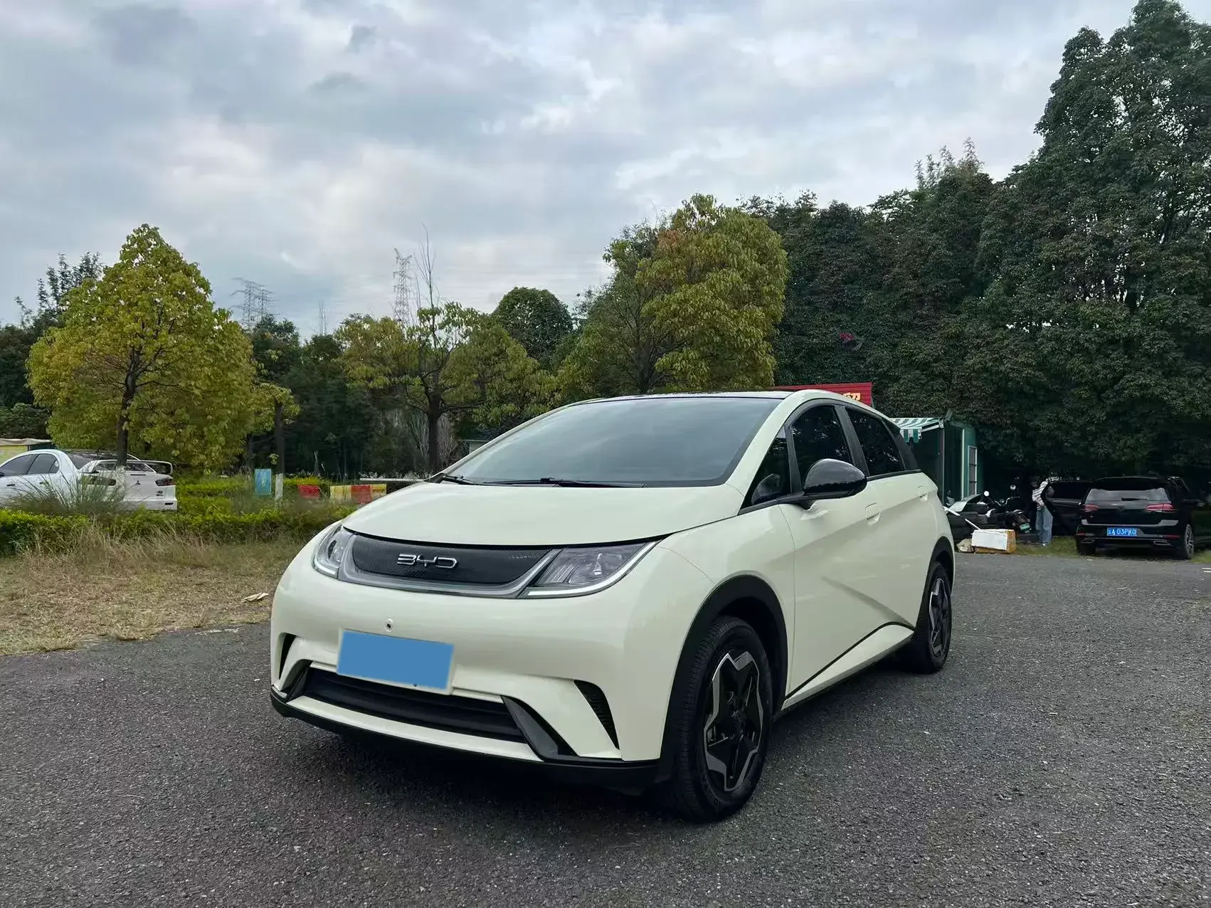 2021 BYD DOLPHIN view 1