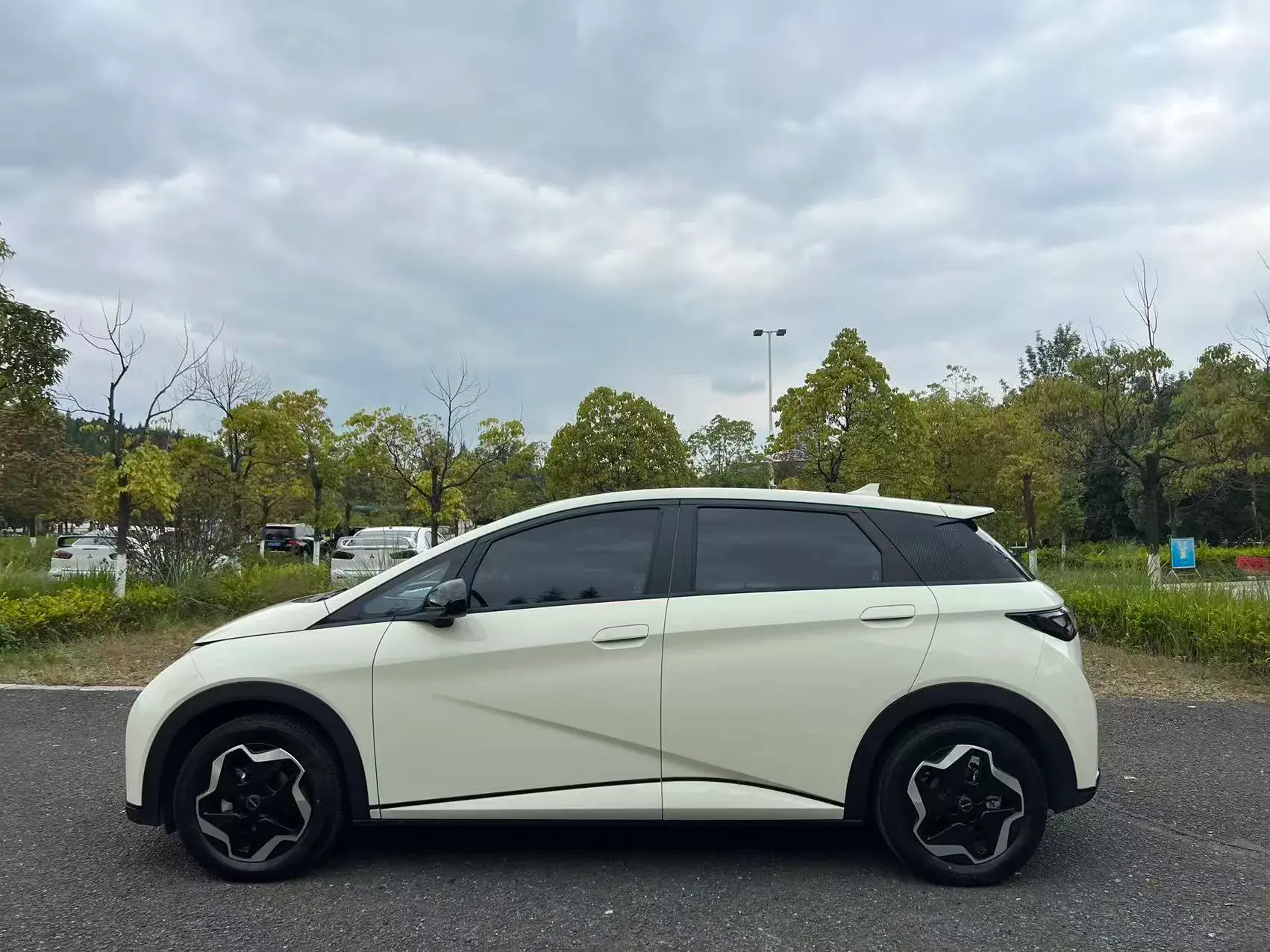 2021 BYD DOLPHIN thumbnail 4