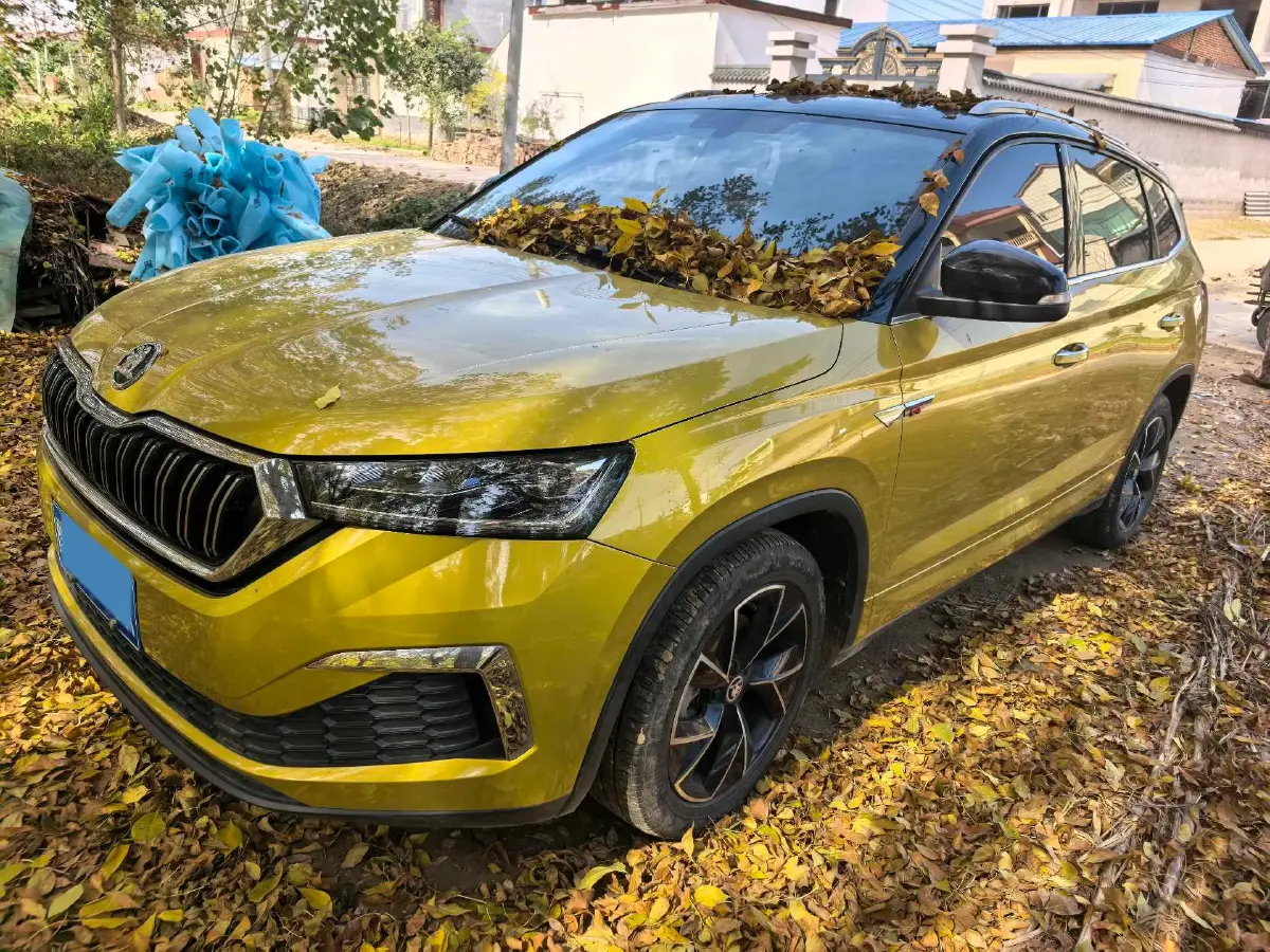 2020 Skoda Kamiq 1.2T 116HP L4 7DCT