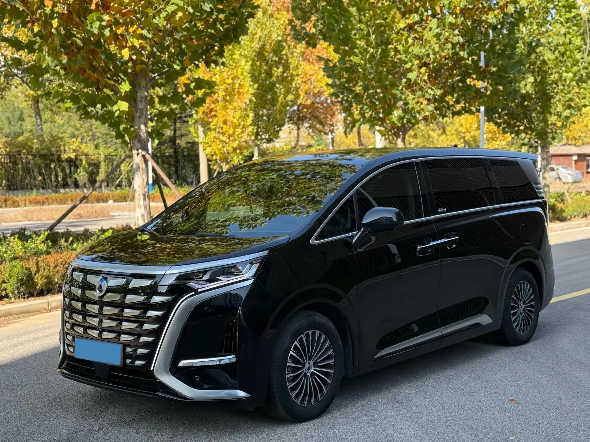 2022 DENZA D9 view 1