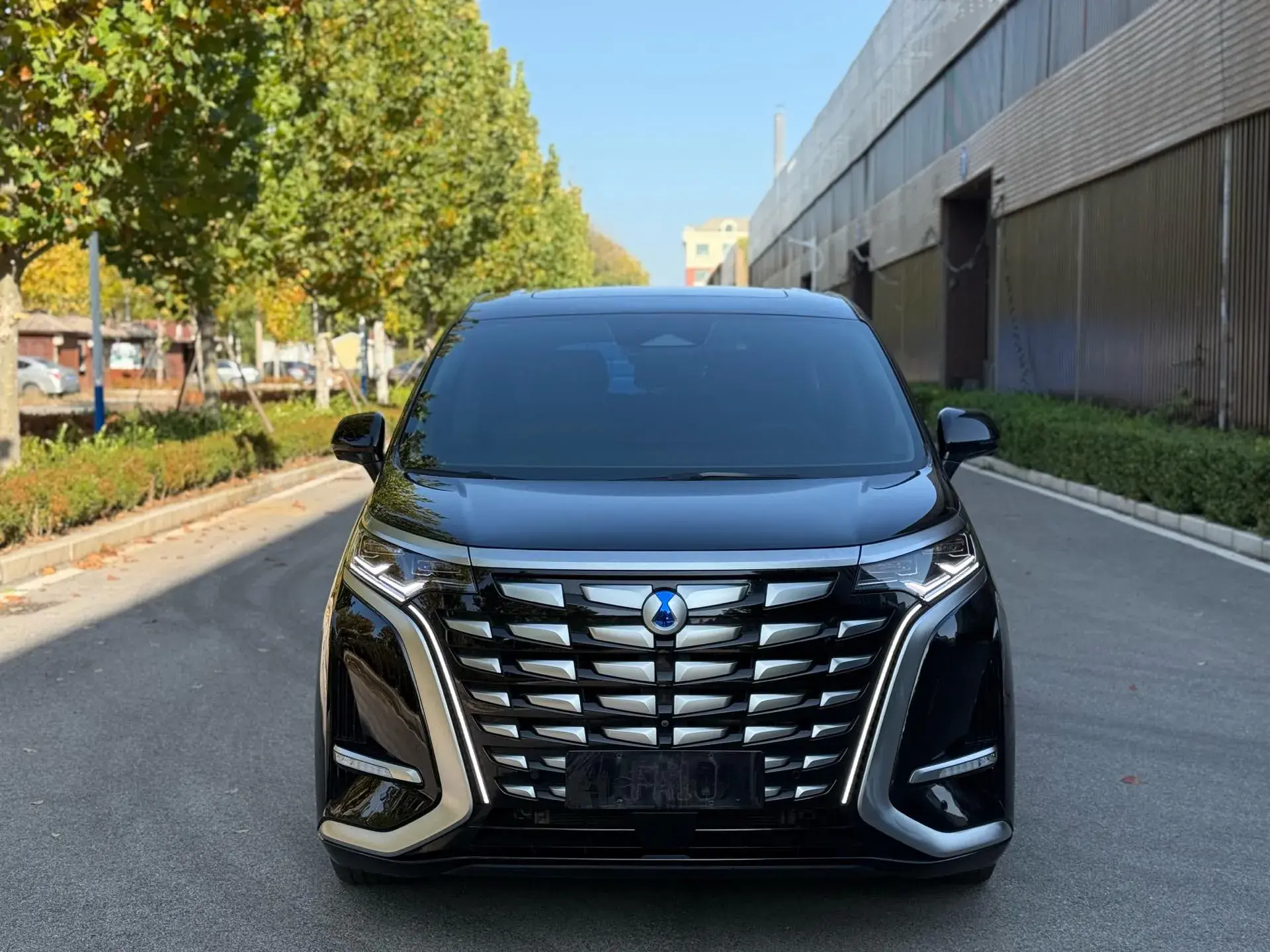 2022 DENZA D9 thumbnail 2