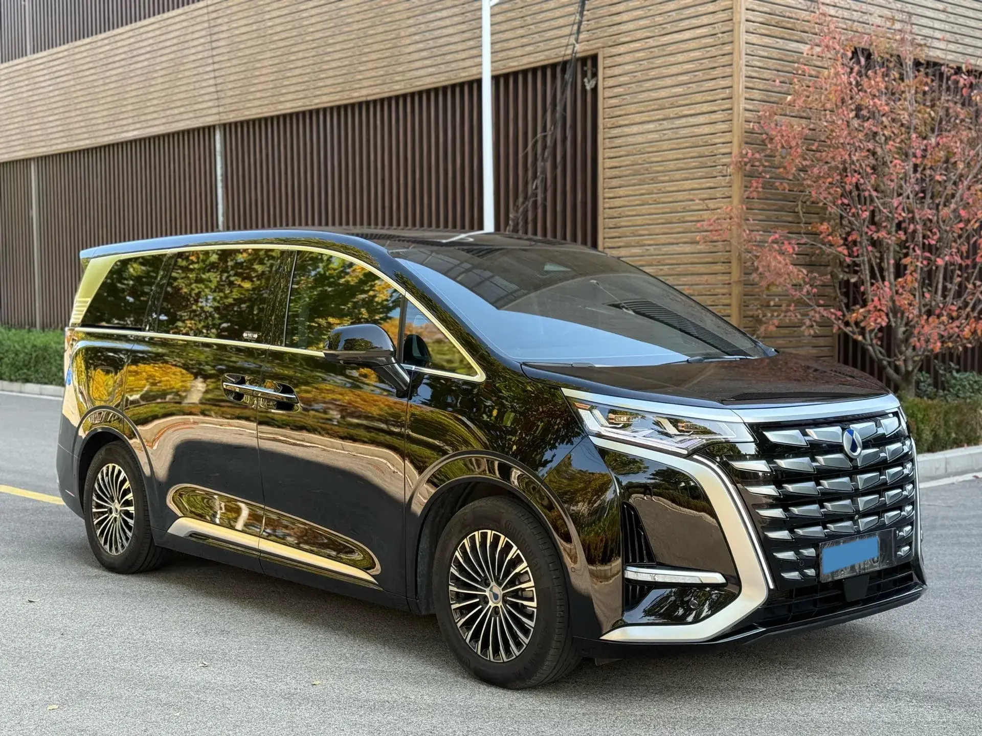 2022 DENZA D9 thumbnail 3