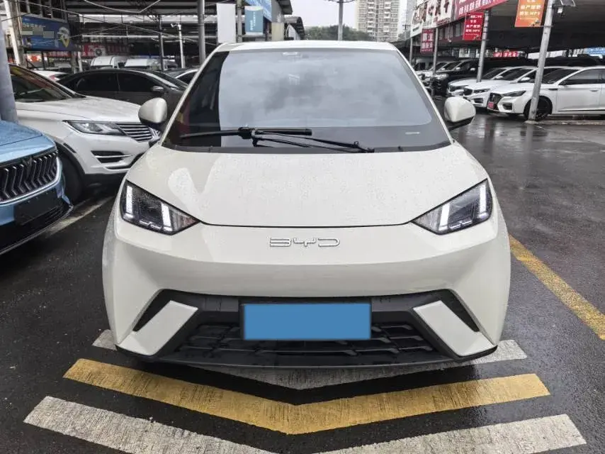 2023 BYD SEAGULL thumbnail 2