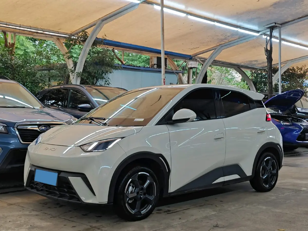 2024 BYD Seagull BEV 30.08KWH