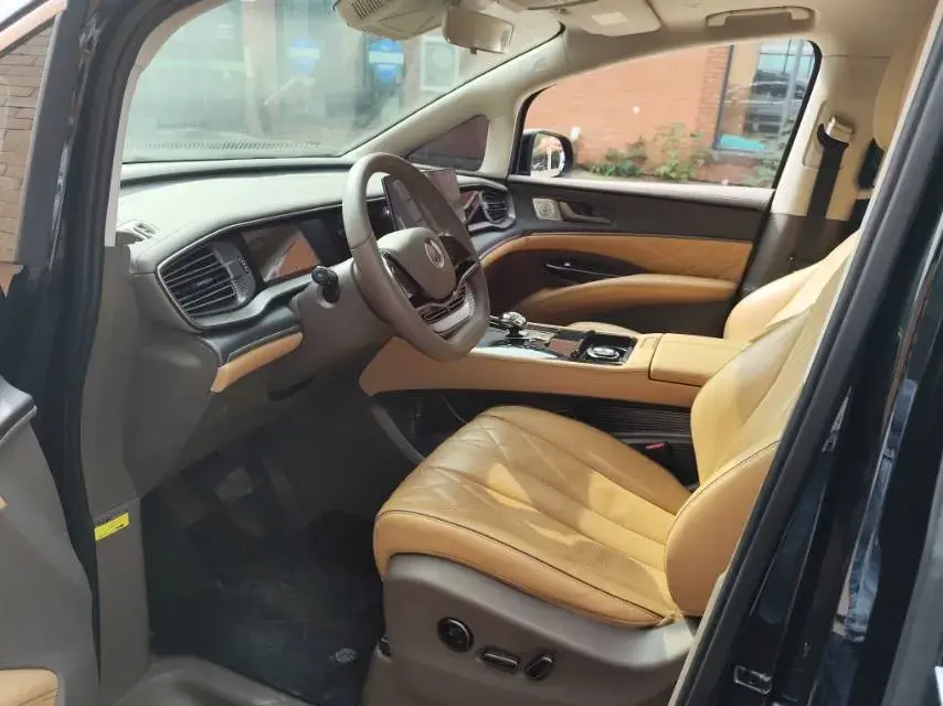 2022 DENZA D9 thumbnail 4