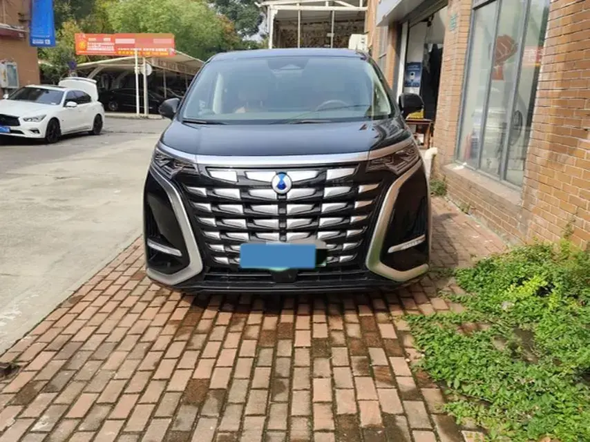 2022 DENZA D9 thumbnail 2