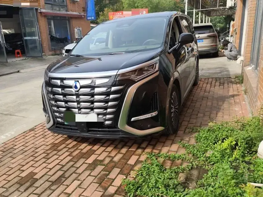 2022 DENZA D9 view 1