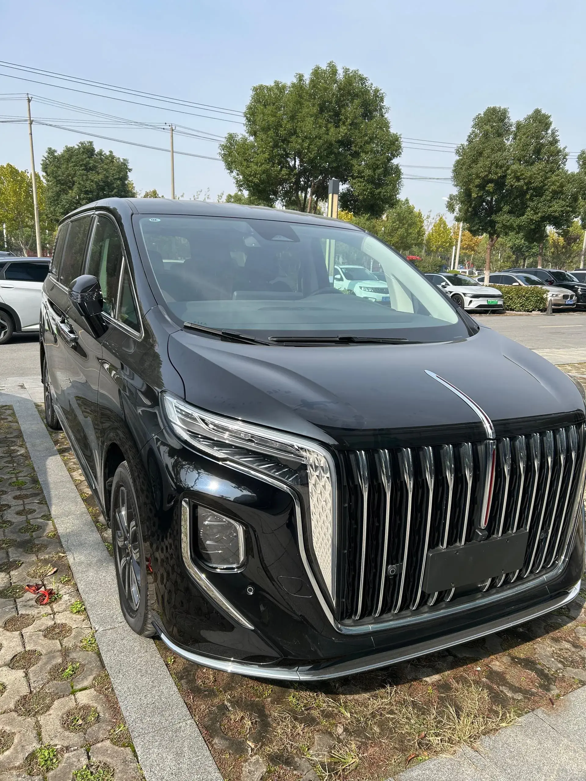 2023 HONGQI HQ9 thumbnail 3