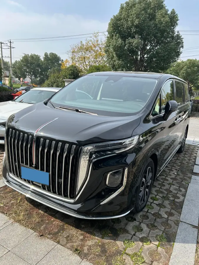 2023 HongQi HQ9 2.0T 252HP L4 8AT