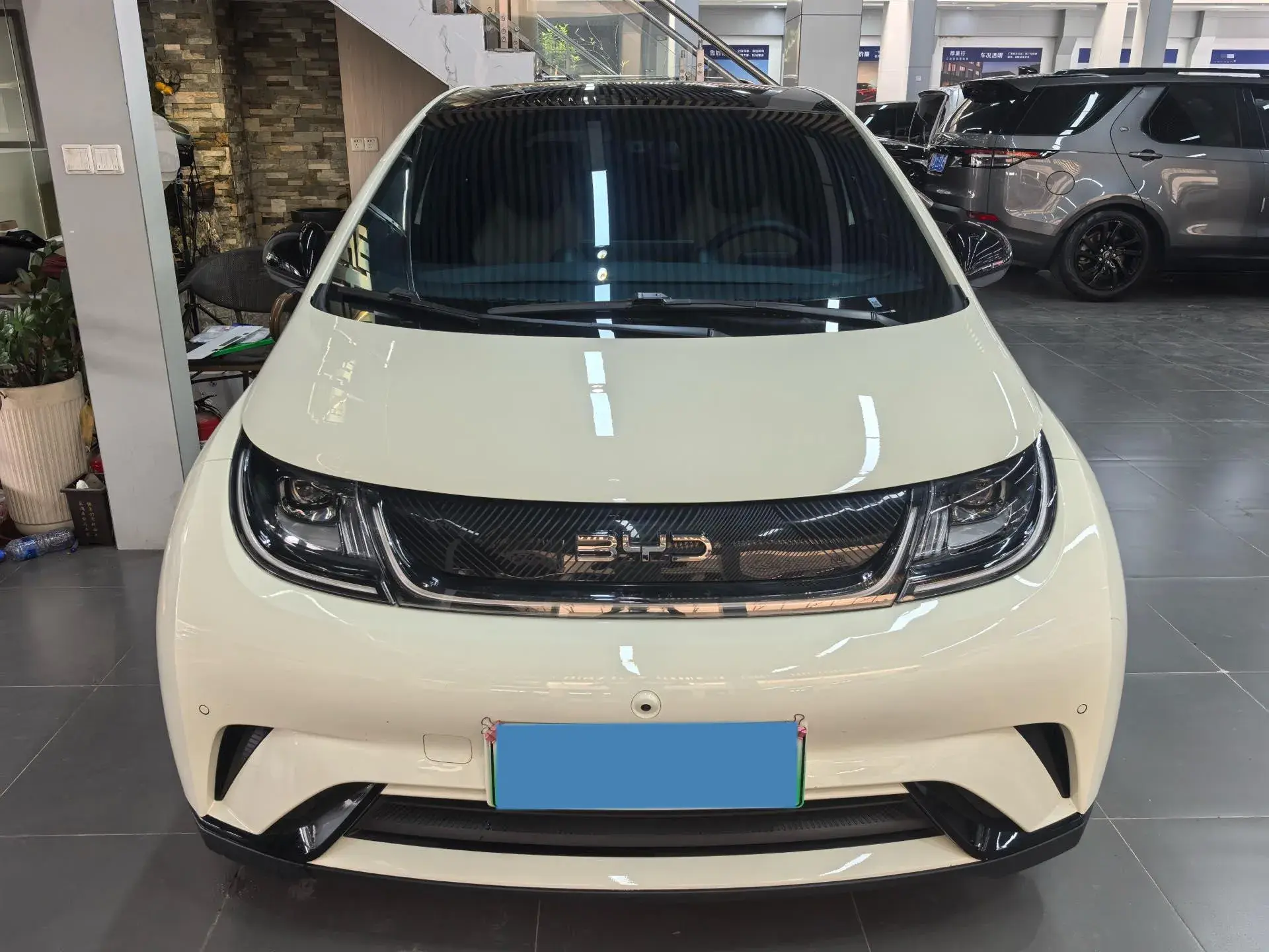 2024 BYD DOLPHIN thumbnail 2