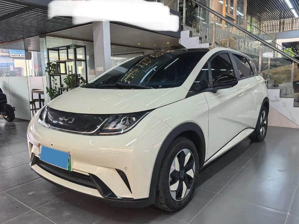 2024 BYD Dolphin BEV 44.928KWH