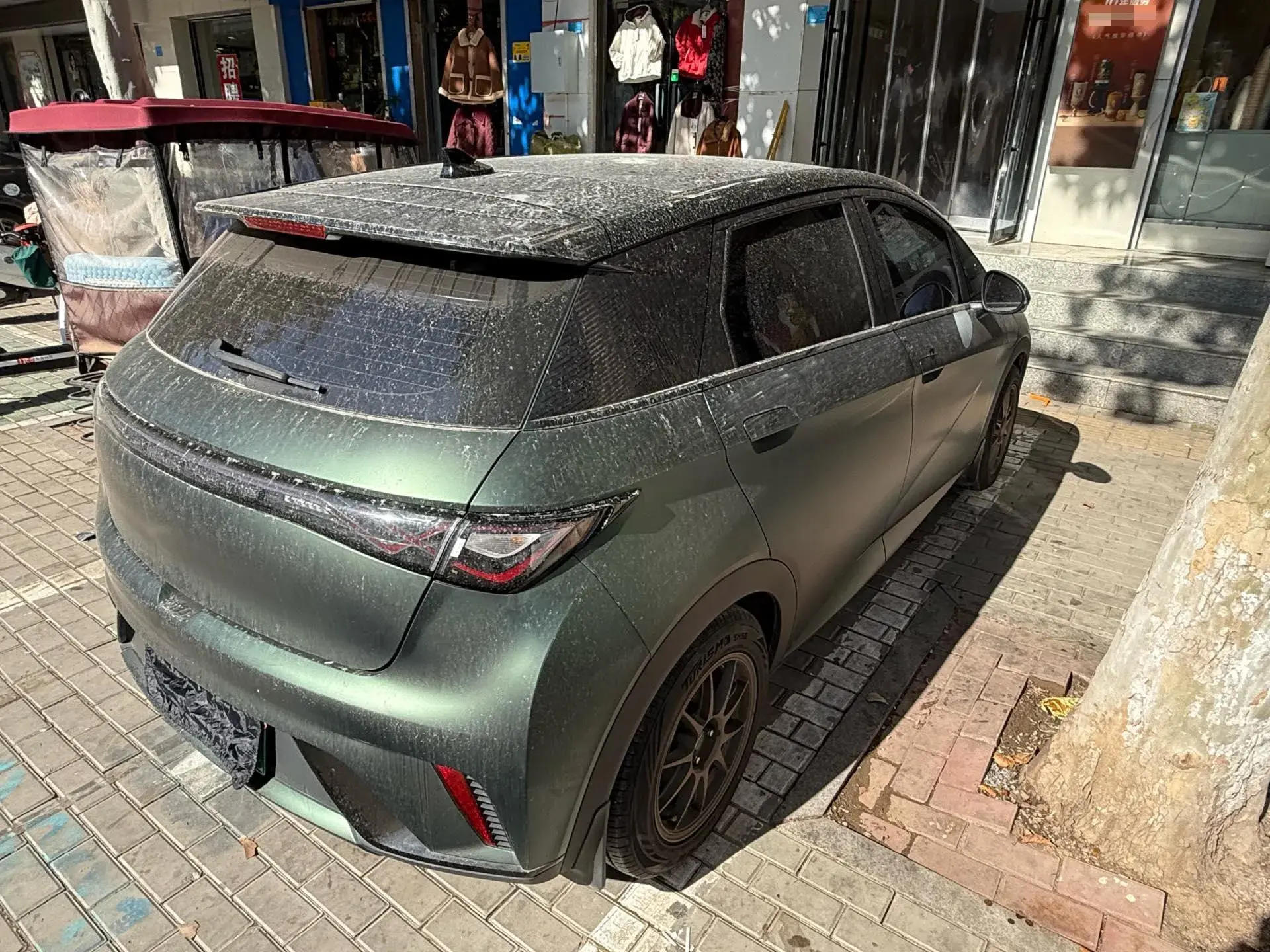 2023 BYD DOLPHIN thumbnail 4