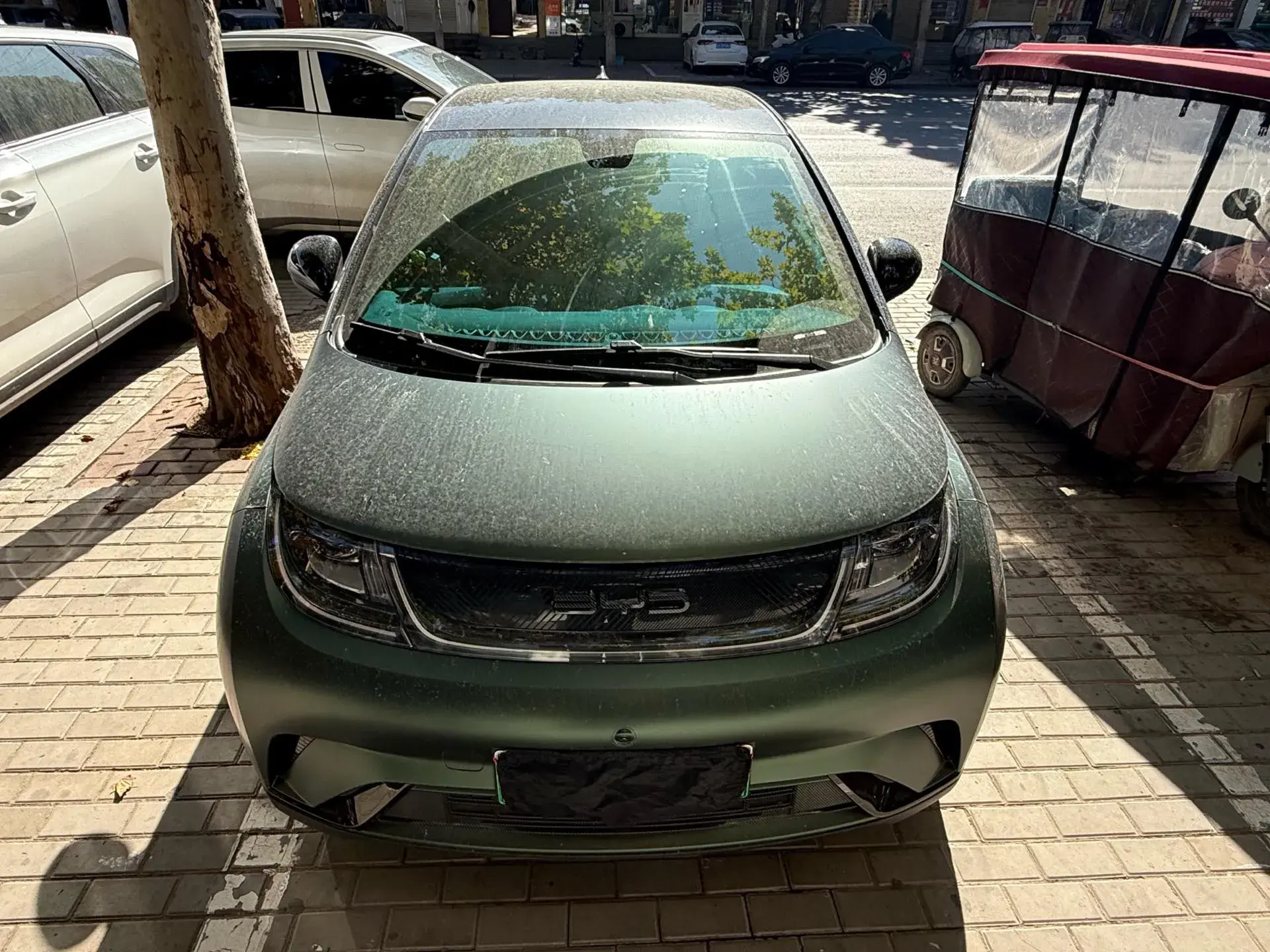 2023 BYD DOLPHIN thumbnail 2