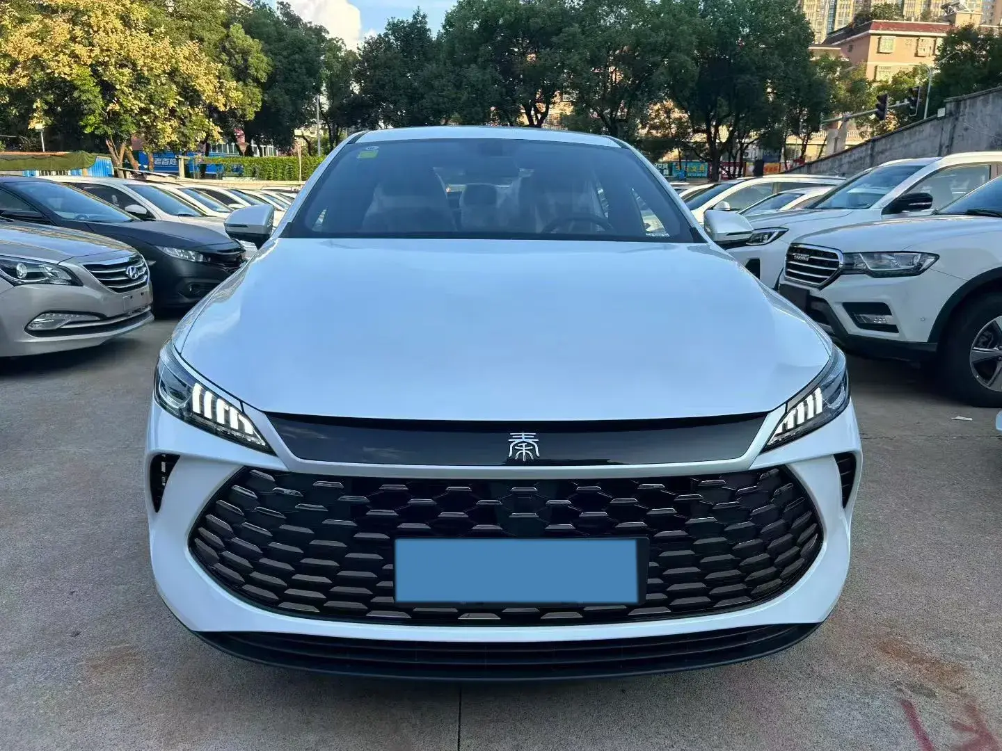 2025 BYD SEAL05 thumbnail 3