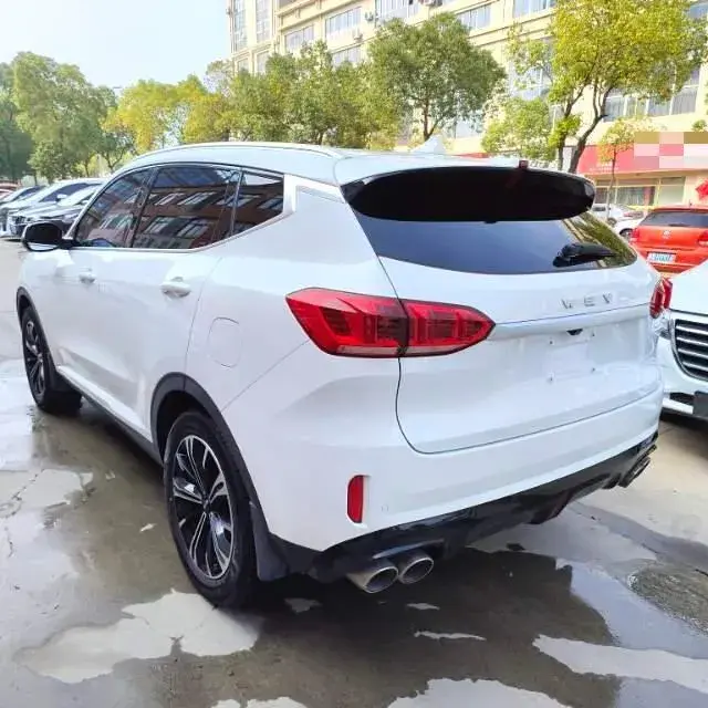 2020 WEY VV6 thumbnail 3