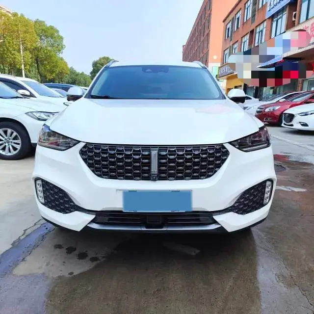 2020 WEY VV6 thumbnail 2