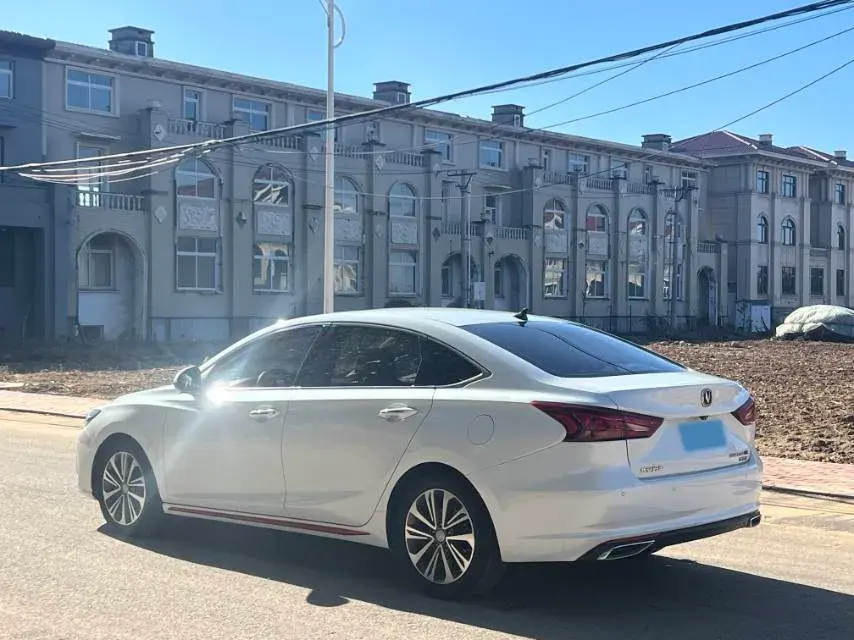 2021 CHANGAN RAETON thumbnail 4