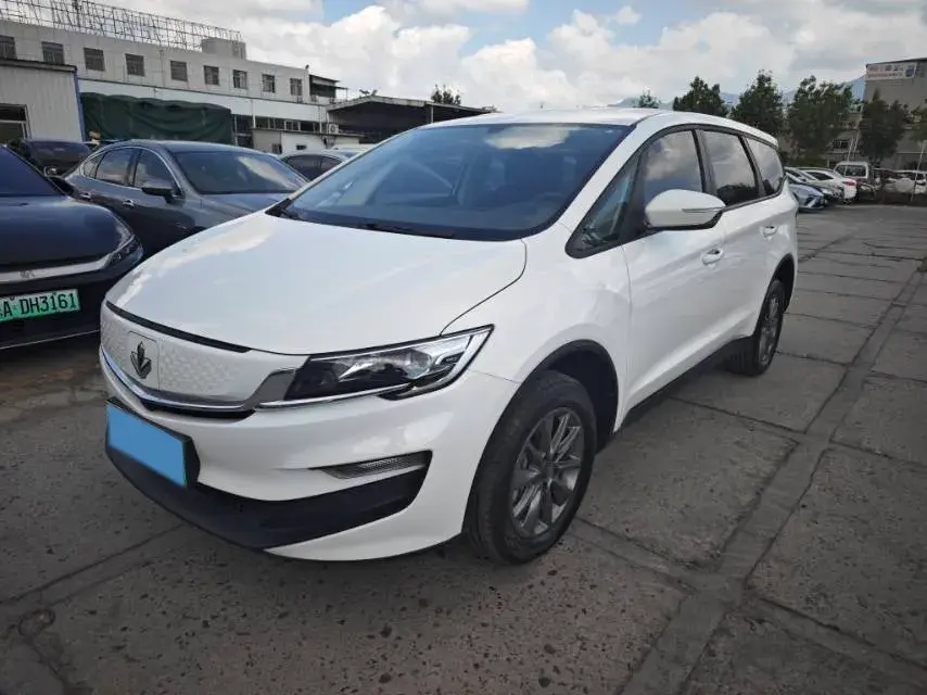 2021 LiFan Maple 80v BEV 53KWH