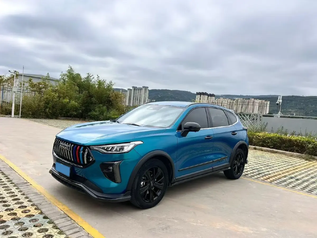 2021 Haval Rabbit 1.5T 184HP L4 7DCT
