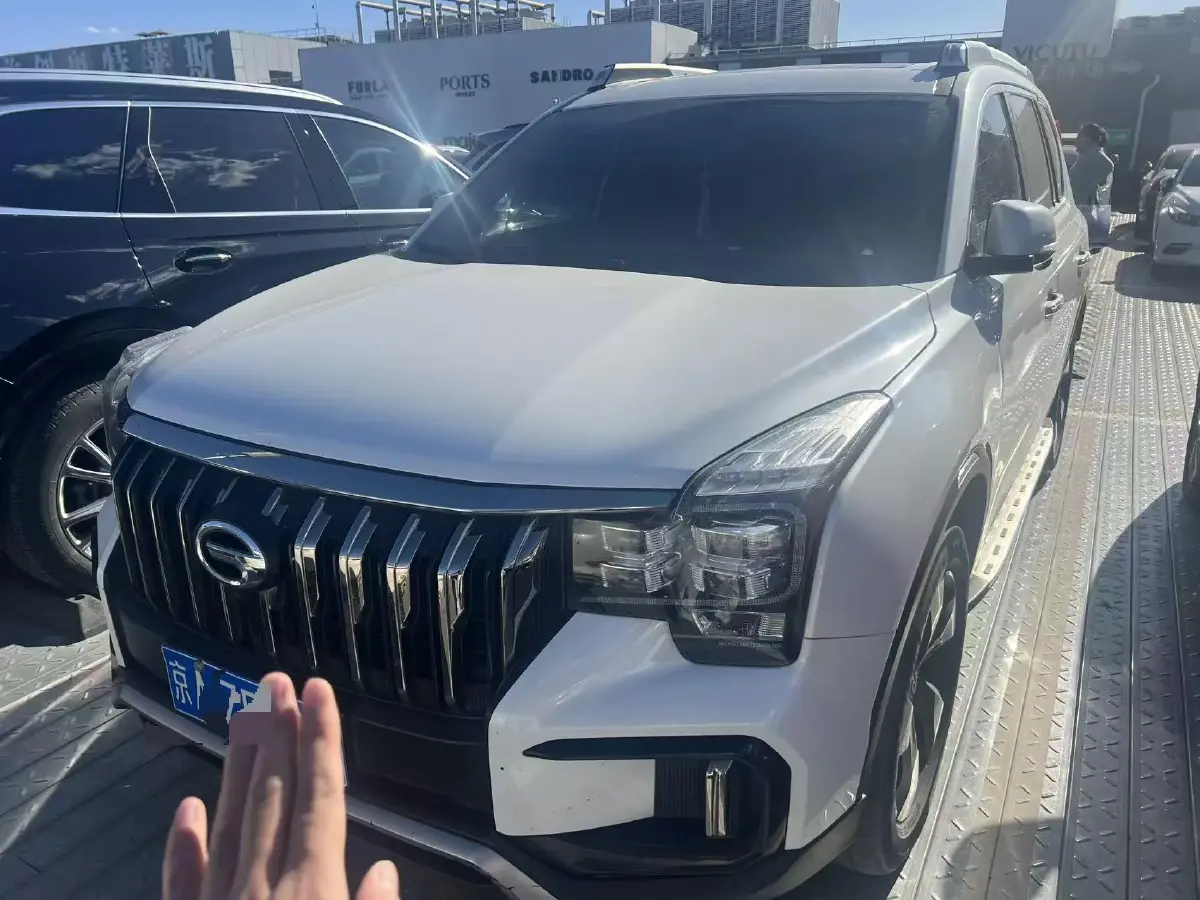 2020 GAC Trumpchi GS8 2.0T 252HP L4 6AT