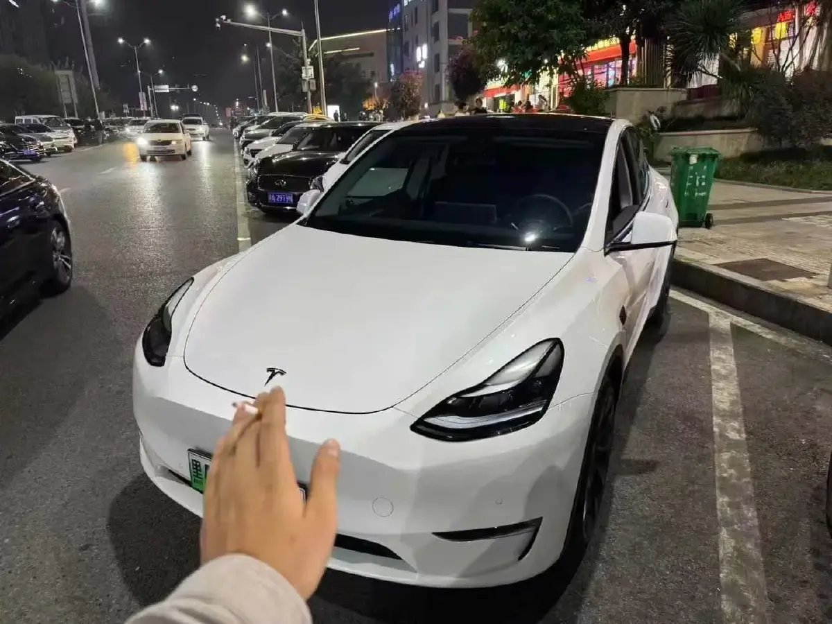 2025 Tesla Model Y BEV