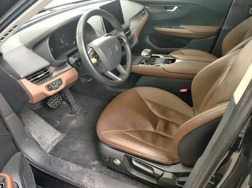 2021 HONGQI E-QM5 thumbnail 2